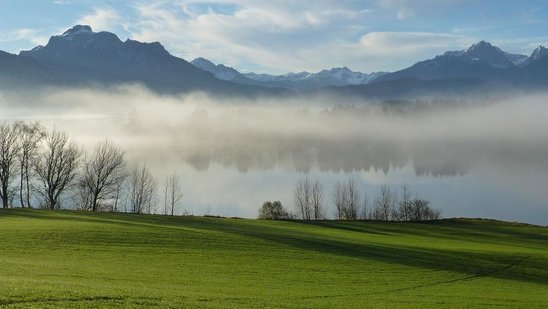 Blick auf den Forggensee bei Füssen bei sonnigem Herbstwetter. Im Vordergrund eine hügelige Wiese mit Bäumen, über dem See liegt leichter Nebel, im Hintergrund das Bergpanorama
